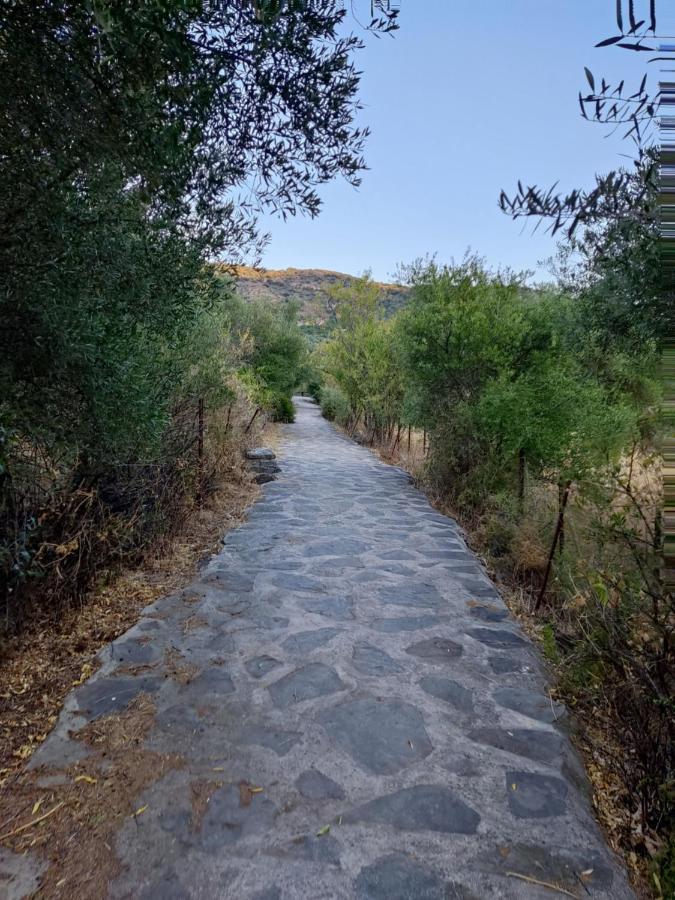 Jimera de Líbar Casa El Canton מראה חיצוני תמונה