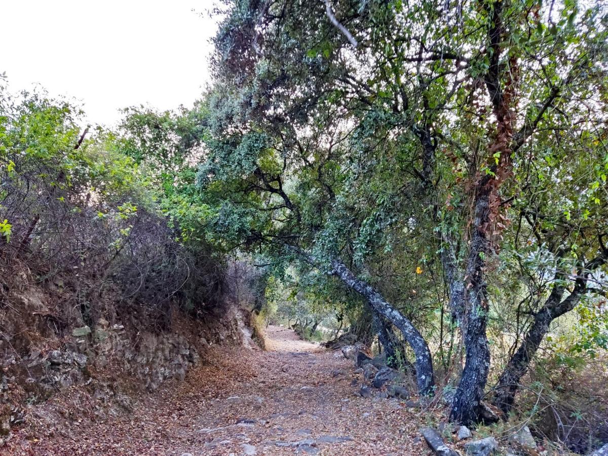 Jimera de Líbar Casa El Canton מראה חיצוני תמונה